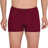 Berrak 4488 Modal Erkek Boxer XXL - 1