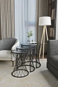 SEDAŞ LIVING UNITS 3 LÜ SİYAH KENARLI FÜME KIRILMAZ TEMPERLİ CAM AYAK HASIR ZİGON SEHPA - 3