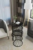 SEDAŞ LIVING UNITS 3 LÜ SİYAH KENARLI FÜME KIRILMAZ TEMPERLİ CAM AYAK HASIR ZİGON SEHPA - 2