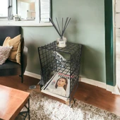 İskandinav Tarzı Siyah Metal Hasır Tel Sehpa - 2