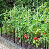 DEKORATİF BAHÇE ÇİTİ 10'LU SET 330CM MODEL - 1 SİYAH HOBİ BAHÇESİ, ÇİÇEK, SEBZE, MİNİ BAHÇE - 6