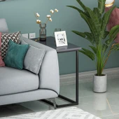 Narin Yan Sehpa, Metal Ayaklı Çok Amaçlı Yan Sehpa Antrasit/Siyah - 3