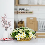 Nettenevime Yapay Çiçek Aranjmanı Sepettte Beyaz Kır Papatyası Aranjmanı Çiçek Sepeti thumbnail 4