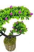 Nettenevime Yapay Çiçek Bonsai Ağacı Kütük Saksıda Lila Tomurcuklu Hilal Model Dekoratif Yapay Ağaç Bonzai 30*20 CM thumbnail 3