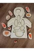 Ankebut Renkli Organlar Puzzle - 4