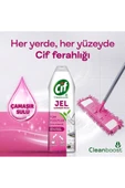 Cif Jel Tüm Yüzeyler Çiçek Ferahlığı Yüzey Temizleyici 750 ml - 3