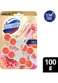 Domestos Tuvalet Bloğu Aroma Lux Yıldız Çiçeği & Ejder Meyvesi 100 gr - 1