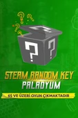 Steam Random Paladyum Key - 1