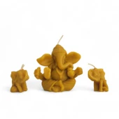 Bal Mumu Ganesha ve İkili Küçük Fil Set - 1