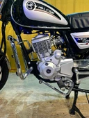 FALCON - NEW COMFORT 185 CHOPPER-CRUİSER MOTOSİKLET - 2025 MODEL - 10