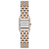 U.S. Polo Assn. Uspa2107-03 Kadın Kol Saati thumbnail 3