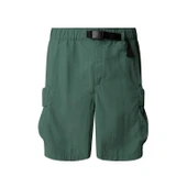 The North Face Erkek CARGO POCKET Şort NF0A8BJGHCH1 thumbnail 1