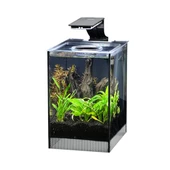 Anubias Danio 17 Nano Akvaryum Siyah 17 x 22 x 26,5 Cm - 1