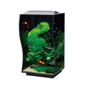 Anubias Guppy 36 Nano Akvaryum Siyah 36 x 32 x 50 Cm - 1