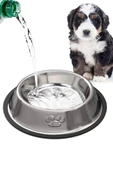 Hs Tarım Kedi Ve Küçük Irk Köpek Çelik Mama Kabı 16 Oz - 3