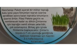 Hs Tarım Kedi Çimi Tohumu Paket Cat Grass - 6