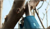 Bosch Pro Pruner Akülü Bahçe Makası (Akü ve Şarj Cihazı Dahil Değildir) - 06019K1020 - 3