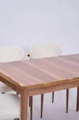Yakamoz Polo MDF Lak Panel Mutfak Masa Sandalye Takımı 80x130 - 2