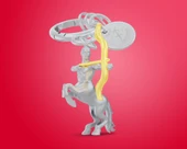 Metalmorphose Burç Koleksiyonu Yay Anahtarlık / Çanta Aksesuarı thumbnail 2