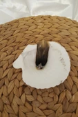 Palo Santo Nazar a Doğal Tütsü Pala Santo 2 Adet Ağaç Tütsü İstiridye  Palosanto luk ile Beraber Hexa Ağacı  Yoga PalaSa - 5