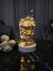 Canım Annem Yazılı Anneler Günü Led Işıklı Solmayan Güllü Gece Lambası Dekor Süs - 1