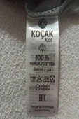 Kartal Desenli Mavi Renk Erkek Çocuk Şortlu Takım - 4