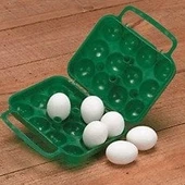 Coghlans 12li Yumurta Taşıma Kabı - 2