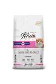 Felicia Kitten Az Tahıllı Tavuklu Yavru Kedi Maması 12 kg - 1