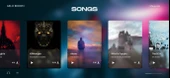 By WINK - Music Artist and Singer HTML&CSS Teması - 2