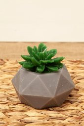 Mart Home Sukulent Mum - 1