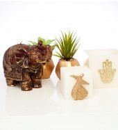 Fatimanın Eli Beyaz Mumluk - 2