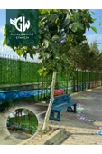 bauprofis Hat Tel Çit Çim Çit Örgü Telli Bahçe Çiti 100 Cm X 10 Mt 100 x 93 - 3