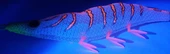DTD Gamberino Blue Glow Natural Slow Sinking 14.3 gr 90 mm Kalamar Zokası - 8