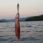 DTD Wounded Fish Egi 3.5 Glow 105 mm 17.5 gr Kalamar Zokası - 3