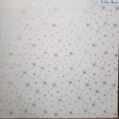 aym akasya yapı market 60X60 PVC ASMA TAVAN PANELİ 20 ADET (7,20 M2) ''ÜRÜNLERİMİZ SADECE PANEL SATIŞLIDIR.'' - 1