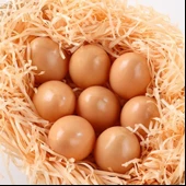 Nettenevime Yapay Yumurta Dekoratif Fake Yumurta 8adet 4beyaz 4Kahverengi thumbnail 6