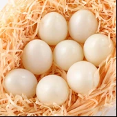 Nettenevime Yapay Yumurta Dekoratif Fake Yumurta 8adet 4beyaz 4Kahverengi thumbnail 5