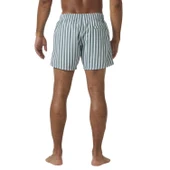 Helly Hansen Erkek NEWPORT MAYO ŞORT HHA.34296 HHA.485 thumbnail 6