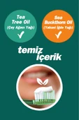 TTO DİŞ MACUNU 75 ML (FLORÜRSÜZ) - 2