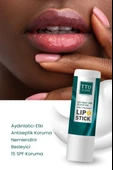 TTO CLINIC Lip Stick - Çay Ağacı Yağı & Glutatyon 15 SPF - 2