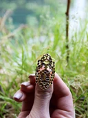 Trend Desenli Antik Ayarlanabilir Kadın Yüzük euy1263 thumbnail 3