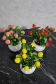 Anneler Günü Modern Beton Saksıda 3'lü Set Nar Şeftali Limon Saksıda Yapay Meyve Ağacı - 3