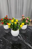 Anneler Günü Modern Beton Saksıda 3'lü Set Nar Şeftali Limon Saksıda Yapay Meyve Ağacı - 8