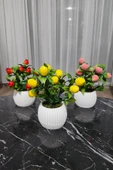 Anneler Günü Modern Beton Saksıda 3'lü Set Nar Şeftali Limon Saksıda Yapay Meyve Ağacı - 2
