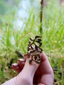 Çiçek Desenli Antik Ayarlanabilir Kadın Yüzük euy1266 thumbnail 3