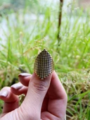 Trend Desenli Antik Ayarlanabilir Kadın Yüzük euy1269 thumbnail 3