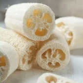 Kabak Lifi Ham Parça, 15-18 cm, 2 Adet Derya Eren - 4