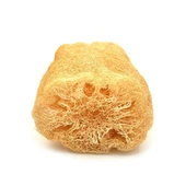 Kabak Lifi Ham Parça, 15-18 cm, 2 Adet Derya Eren - 3