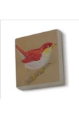 Kuş Baskılı Taş Magnet 5X5 - 1