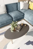 woodaria  Orta Sehpa, Masa, Ahşap Ayaklı Orta Sehpa, Salon Masası, Sehpa - 4